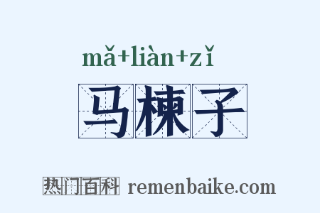 马楝子是什么意思的图片